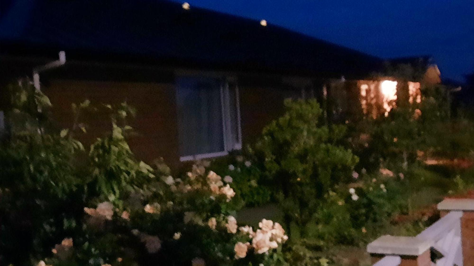 113 On Park Bed & Breakfast Winton Exterior foto